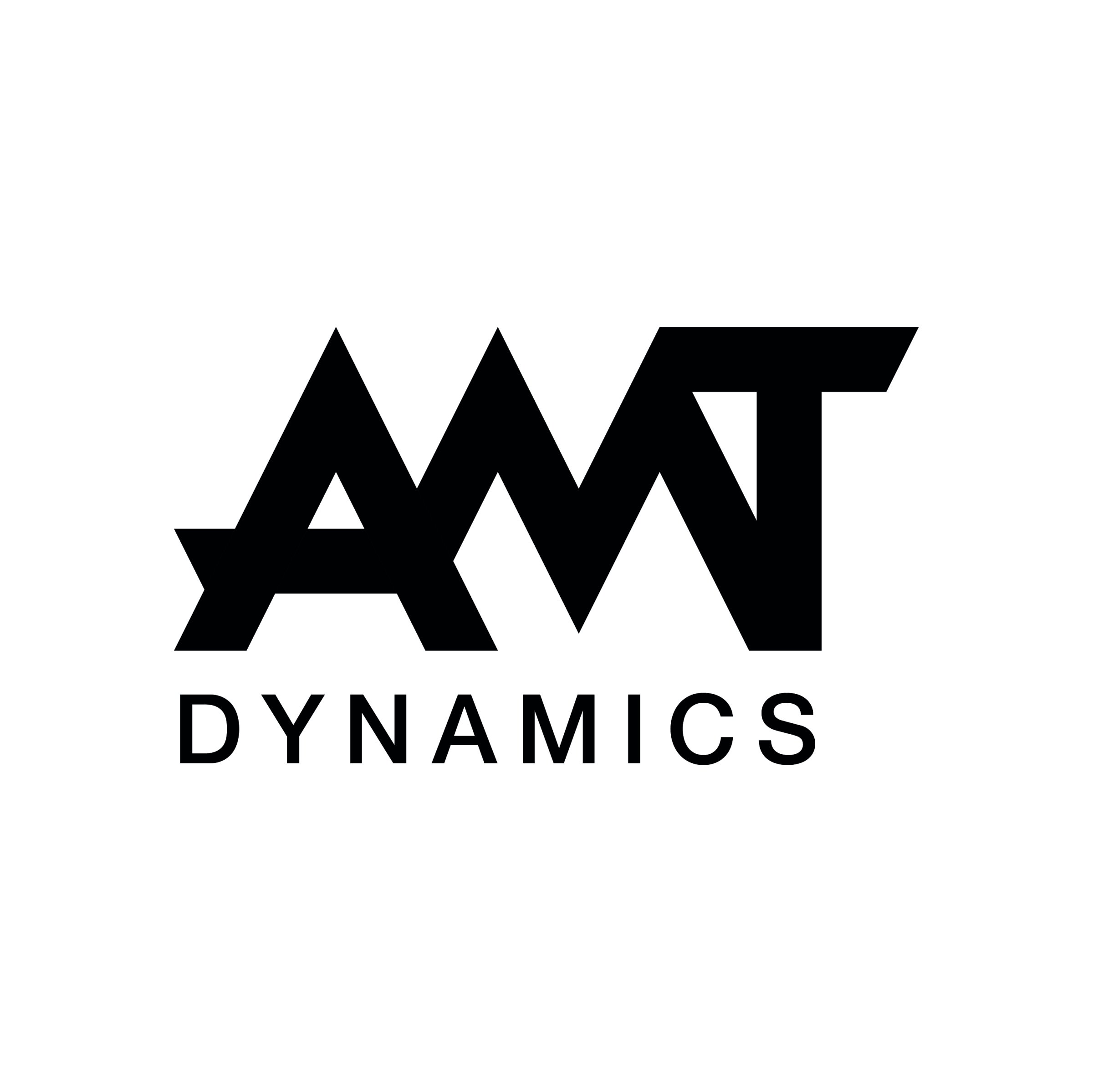 AMT Dynamics Branding